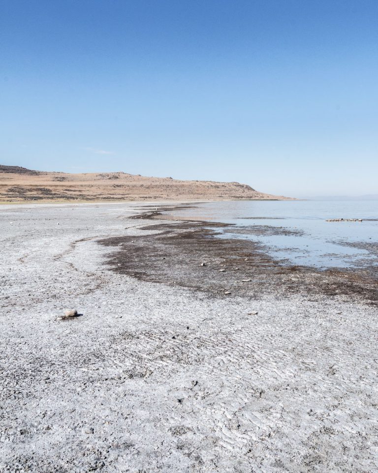 Antelope Island and the Great Salt Lake - SarahintheGreen