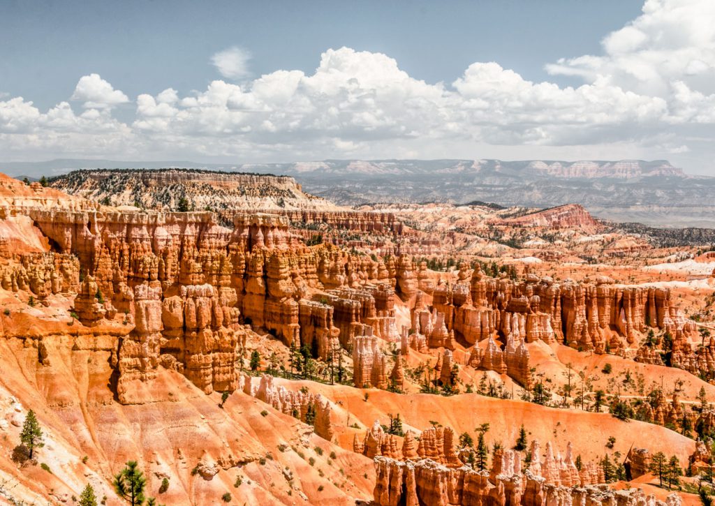 Bryce Canyon - hoodoos and tiny creatures - SarahintheGreen