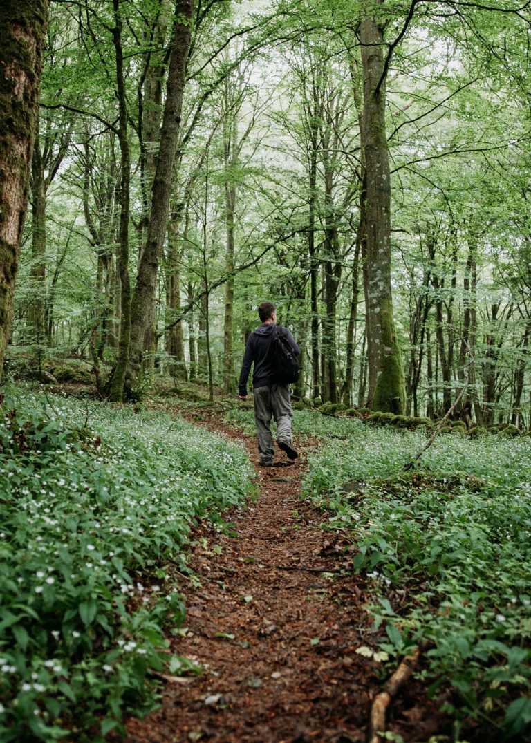 Hiking in Skåne: Hovdala Nature area with stay in a birch tree shelter